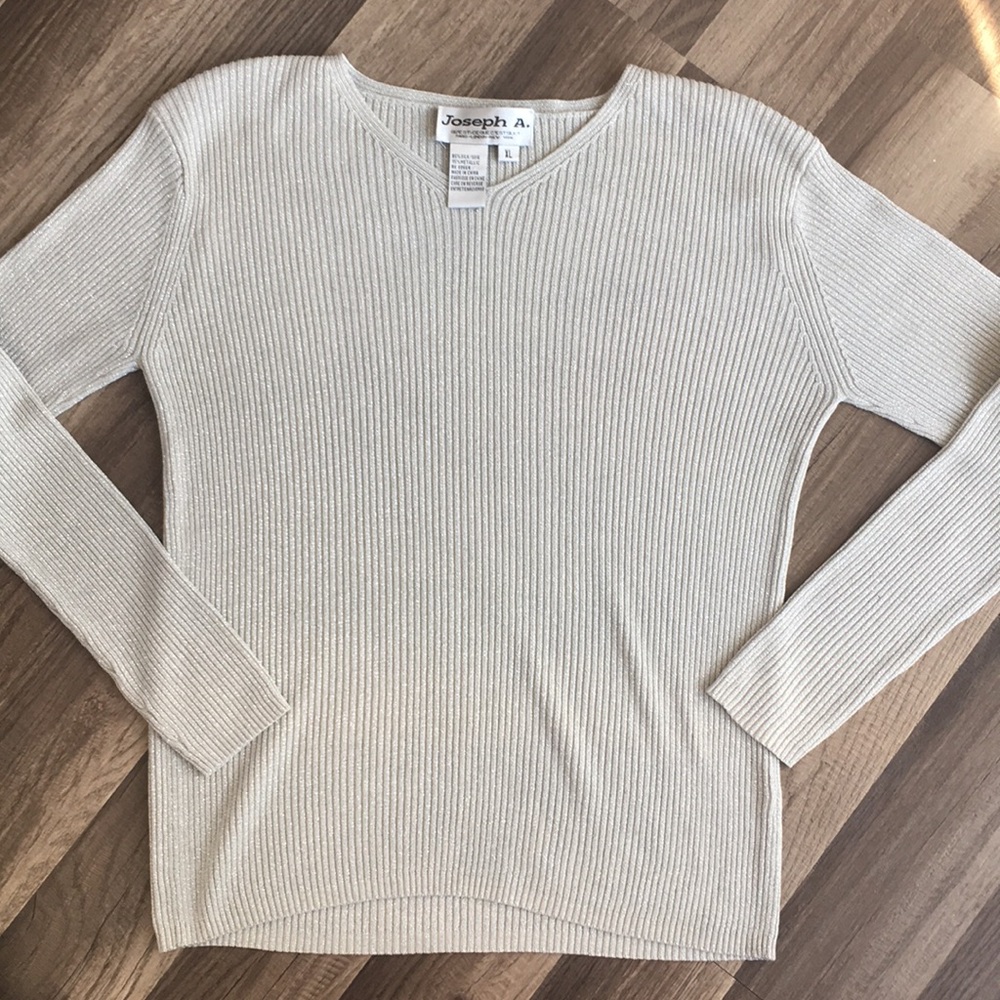 Joseph A. Silk metallic silvery sparkly sweater XL